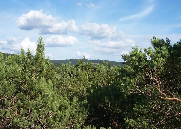 Apartmán Am Pfaffenfels Schönau